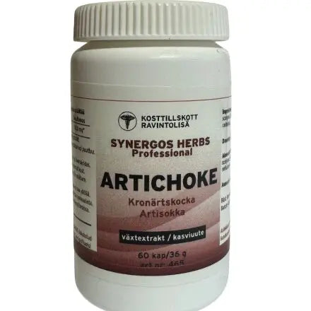 Kronärtskocka Artichoke