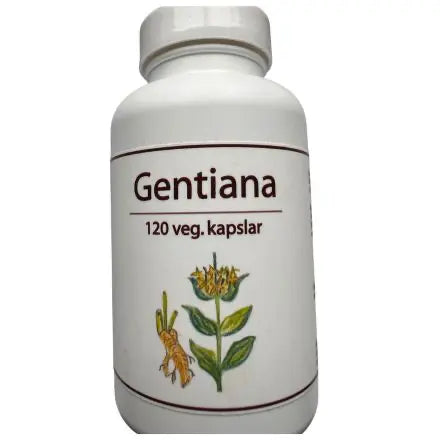 Gentiana för matsmältning